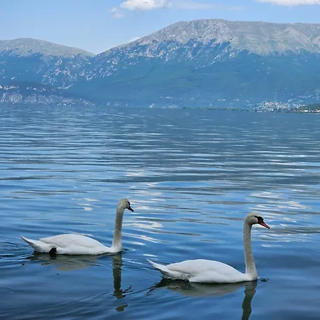 Hotell Enkelana Pogradec