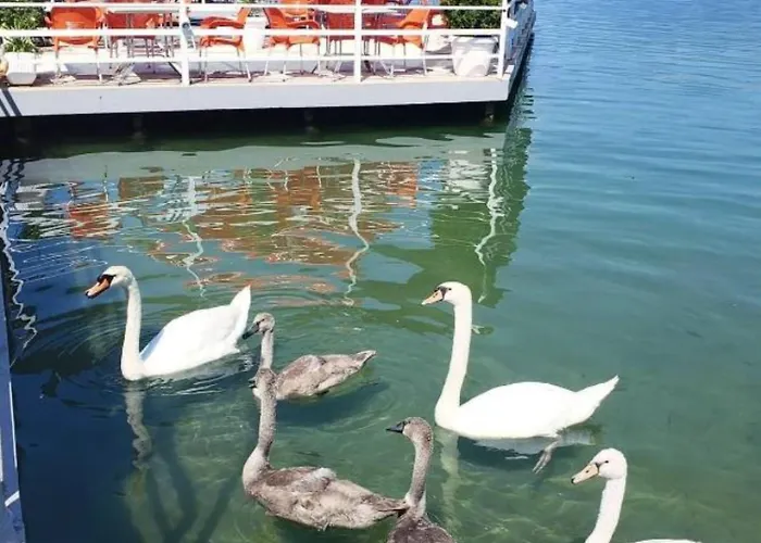 Enkelana 4* 波格拉德茨