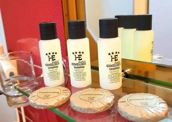 ホテル Enkelana 4*