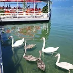 Enkelana 4* Pogradec