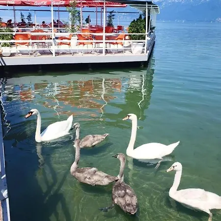 Enkelana 4* 포그라데츠