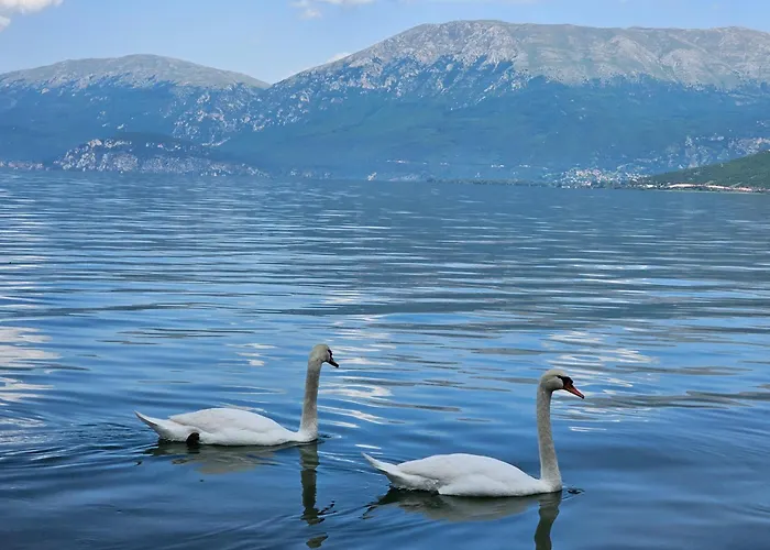 Hotel Enkelana Pogradec